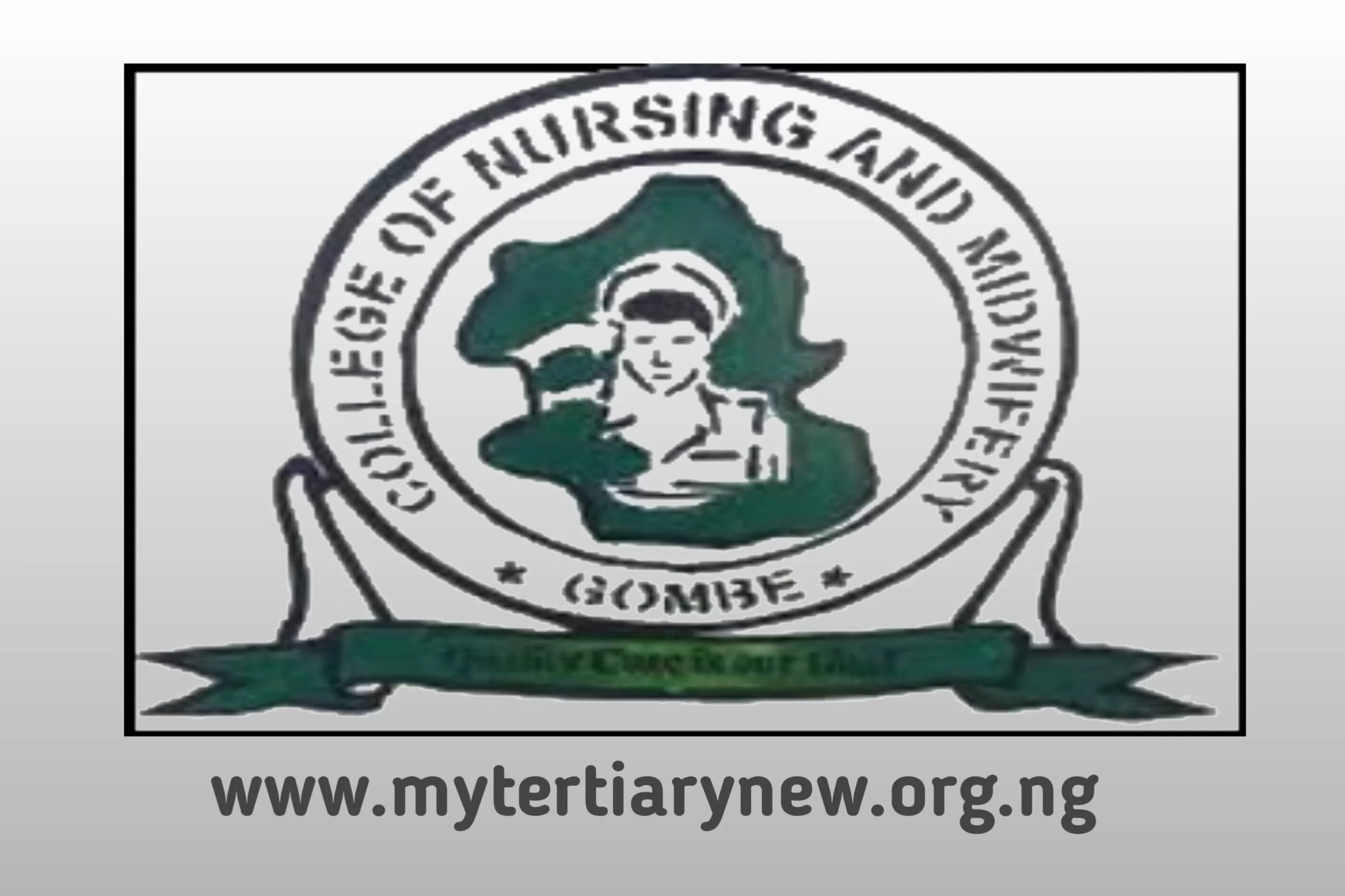 CNSGOMBE Image || School of Nursing Gombe Cut Off Mark